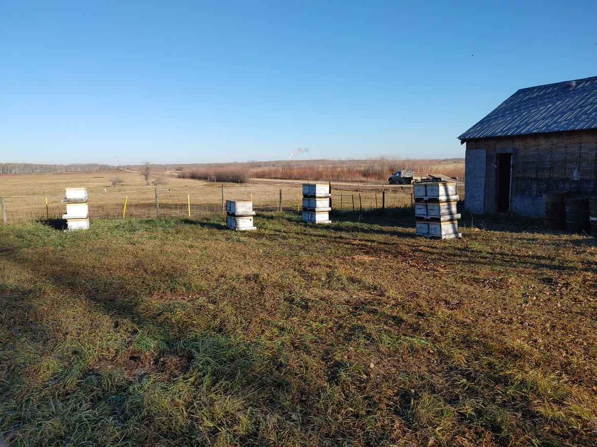 2021 Season photo 38